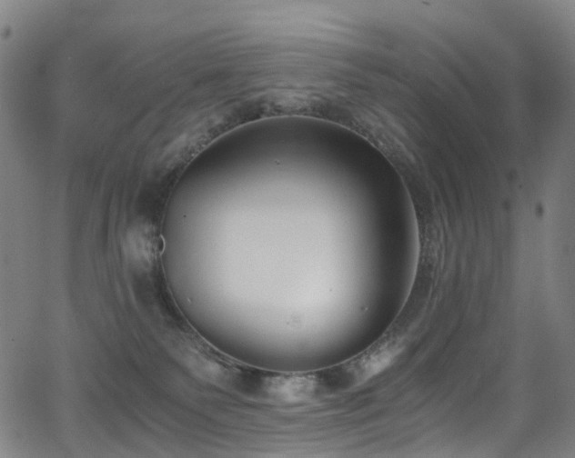 X0000062930135200601131521