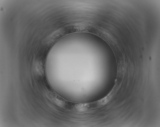 X0000062930136200601131521