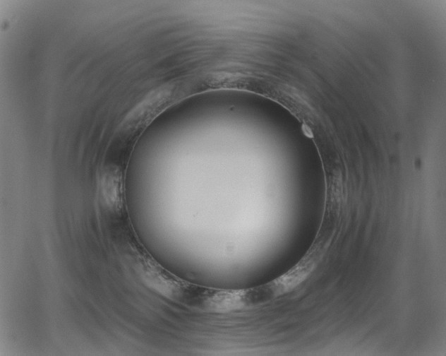 X0000062930138200601131521