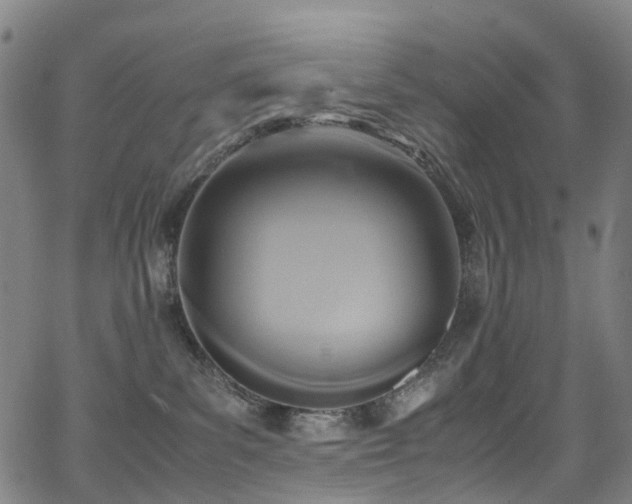 X0000062930139200601131521