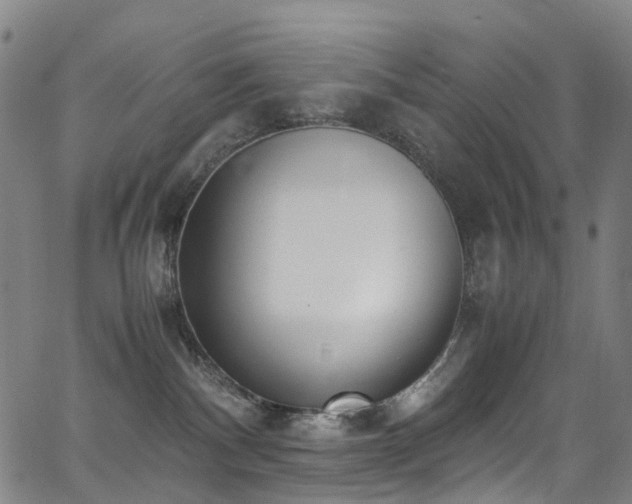 X0000062930140200601131521