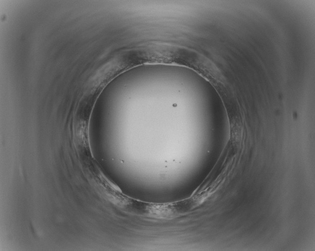 X0000062930141200601131521