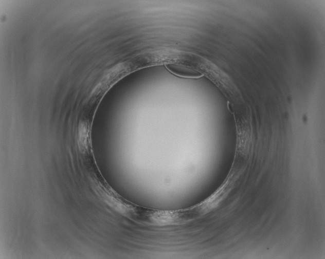 X0000062930142200601131521