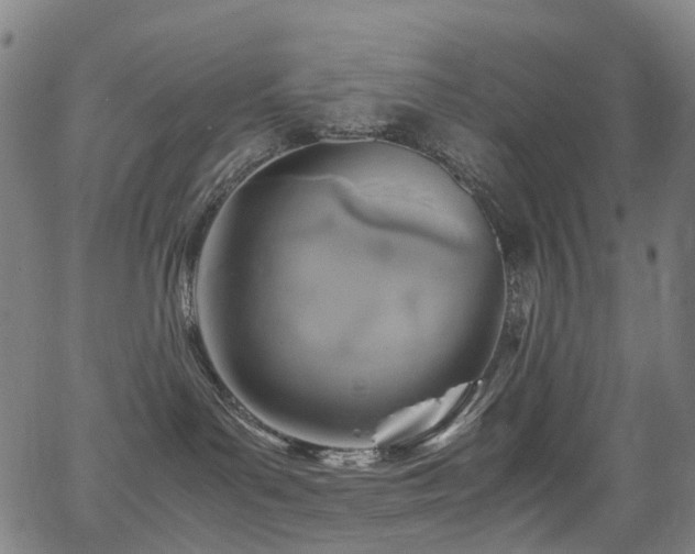 X0000062930143200601131521