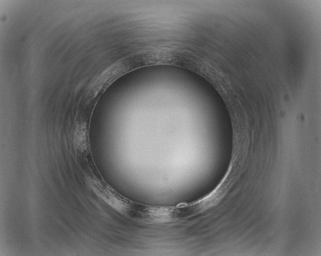 X0000062930144200601131521