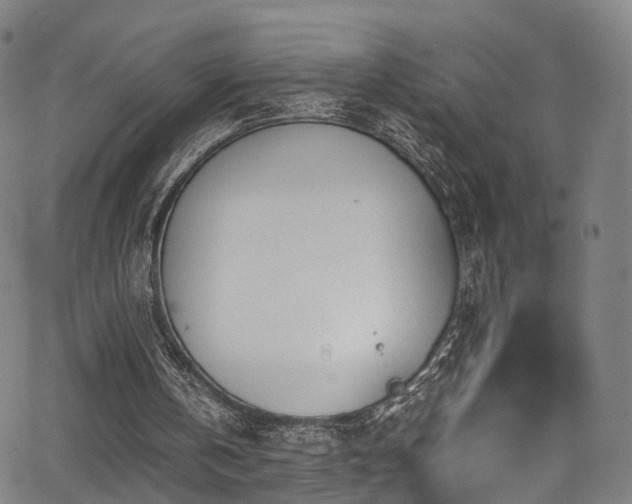 X0000062930146200601131520