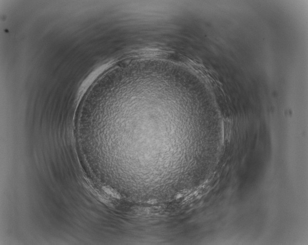 X0000062930147200601131520