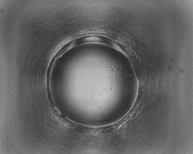 X0000062930148200601131520