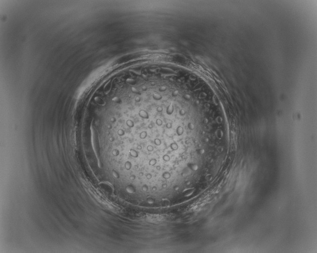 X0000062930149200601131520