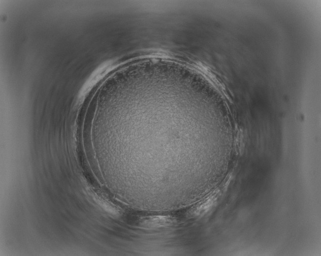 X0000062930151200601131520