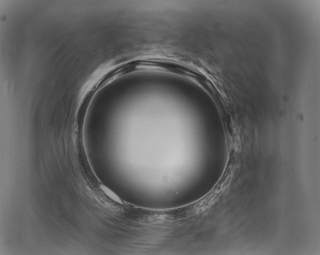 X0000062930152200601131520