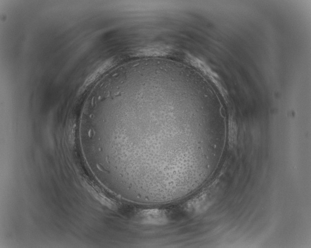 X0000062930153200601131520