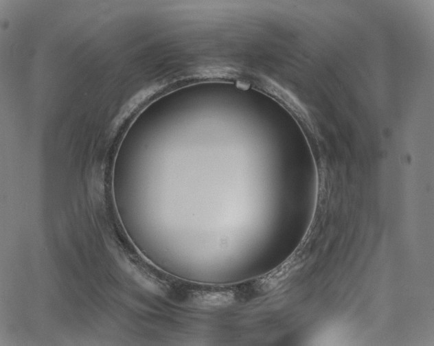 X0000062930155200601131520