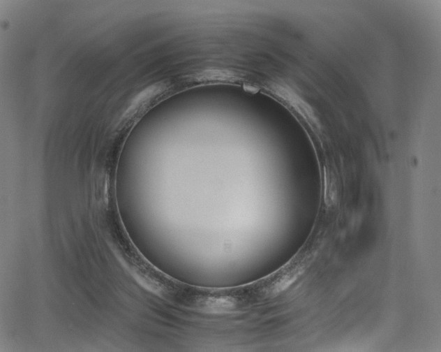 X0000062930157200601131520