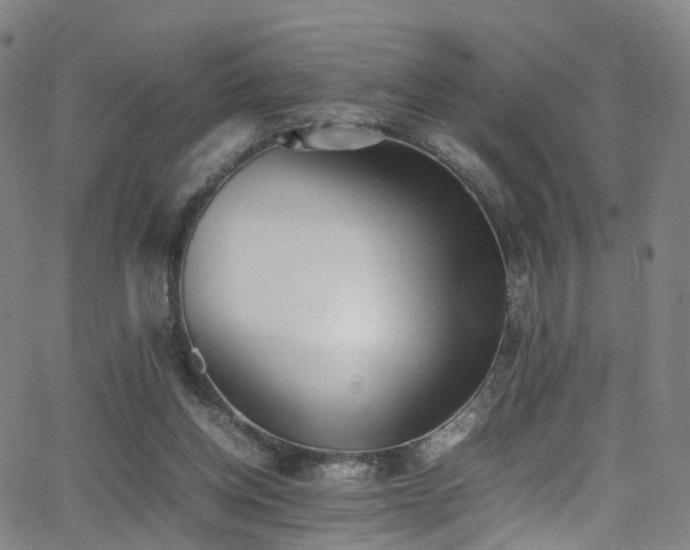 X0000062930158200601131520