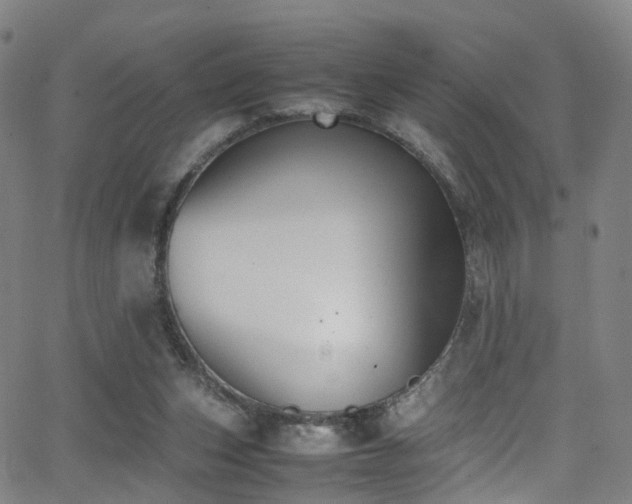 X0000062930159200601131520