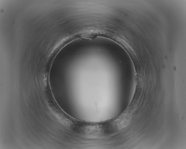 X0000062930160200601131520