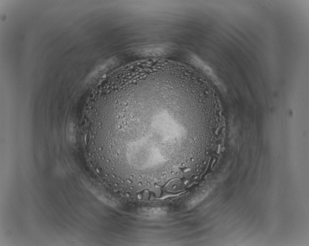 X0000062930161200601131520