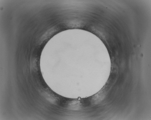 X0000062930162200601131520