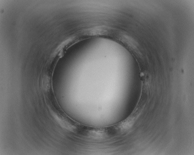 X0000062930164200601131520