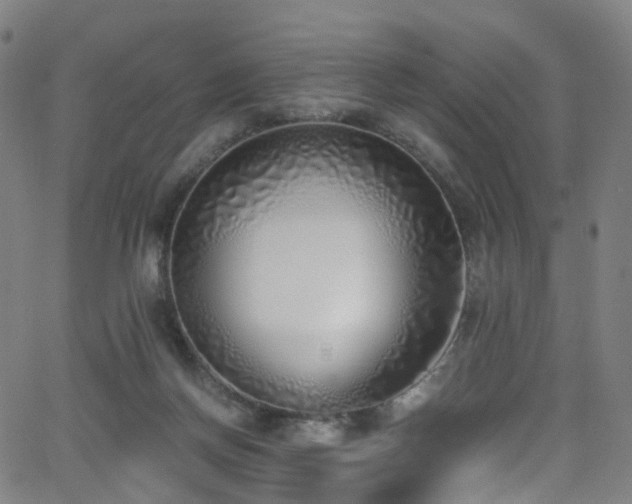 X0000062930166200601131520