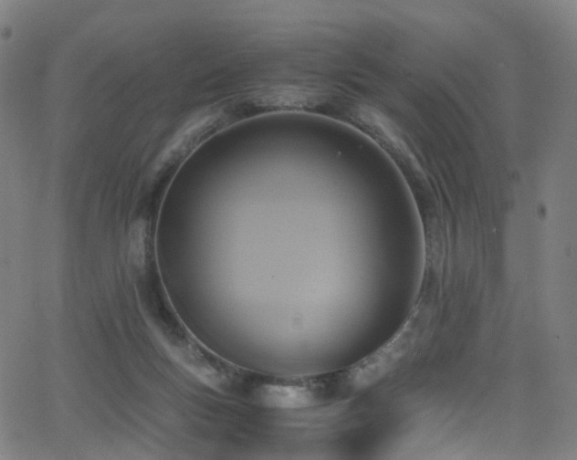 X0000062930167200601131520