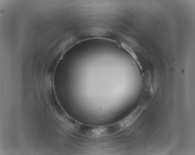 X0000062930172200601131520