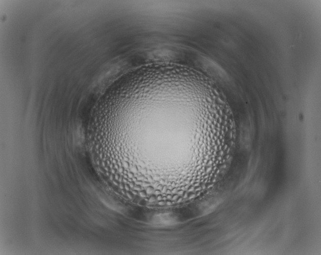 X0000062930173200601131520