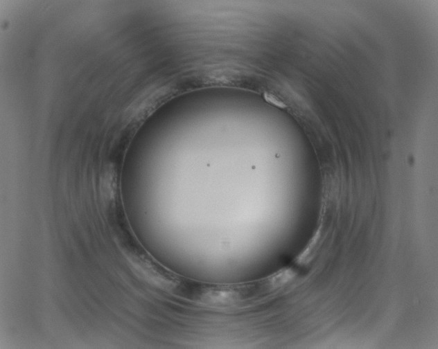 X0000062930174200601131521