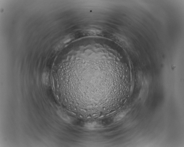 X0000062930177200601131521