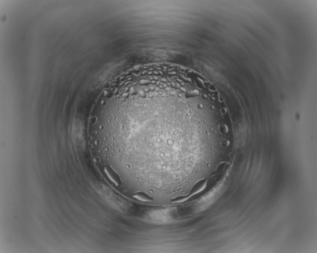 X0000062930178200601131521