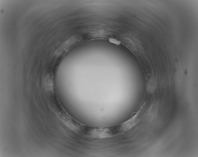 X0000062930179200601131521