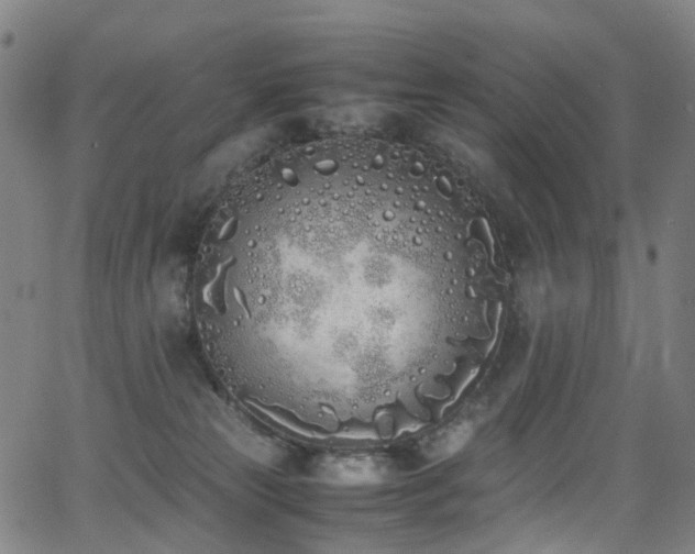 X0000062930181200601131521