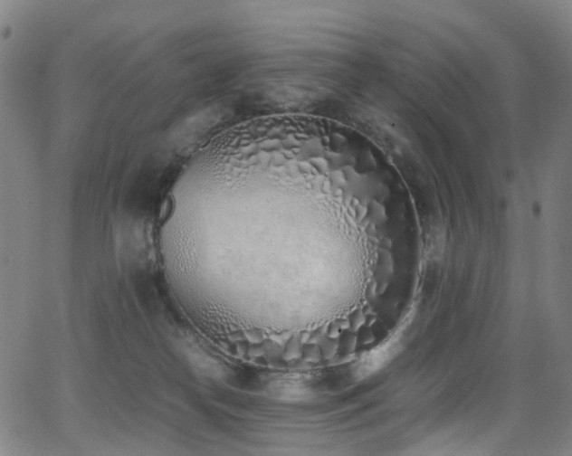 X0000062930182200601131521