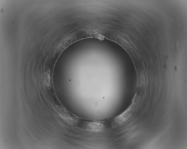 X0000062930183200601131521