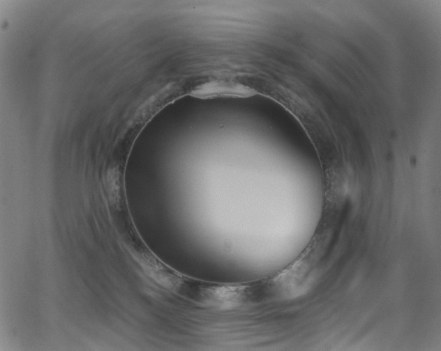 X0000062930184200601131521