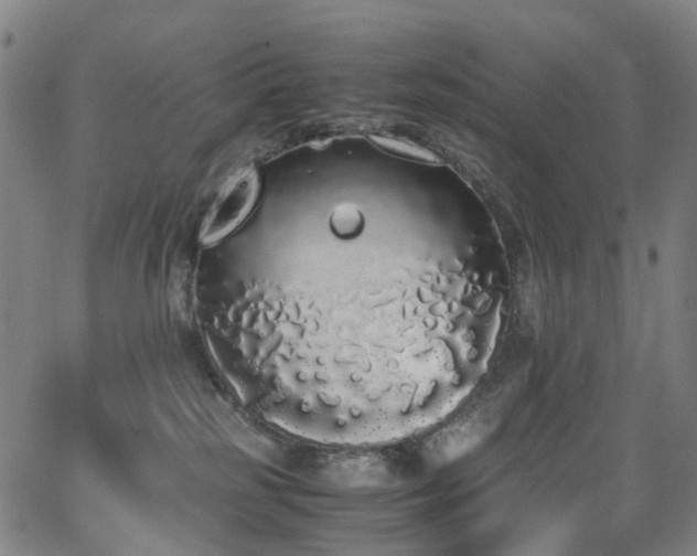 X0000062930185200601131521