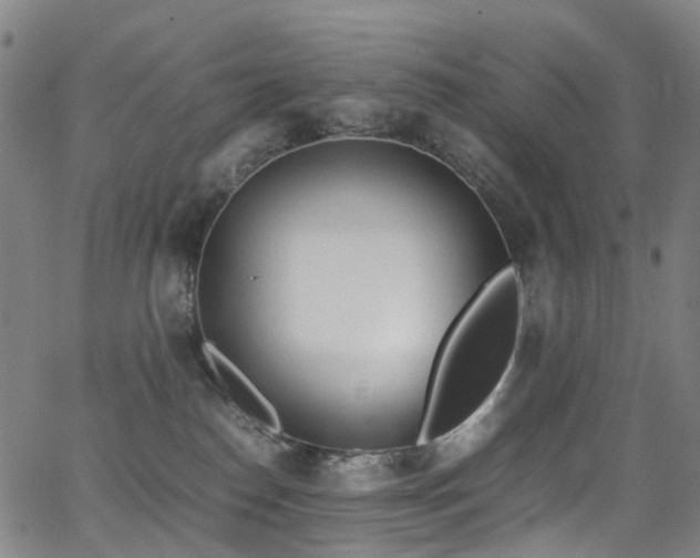 X0000062930186200601131521