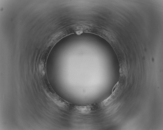 X0000062930187200601131521