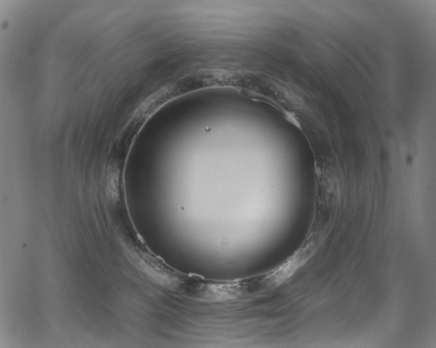 X0000062930188200601131521