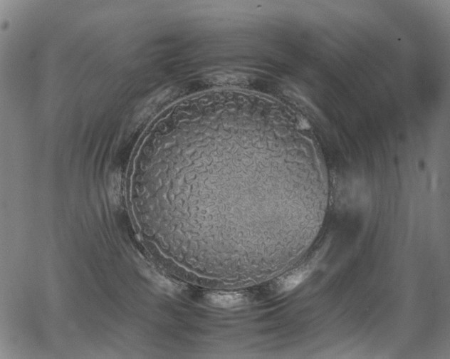 X0000062930189200601131521