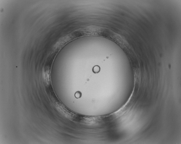 X0000062930190200601131521