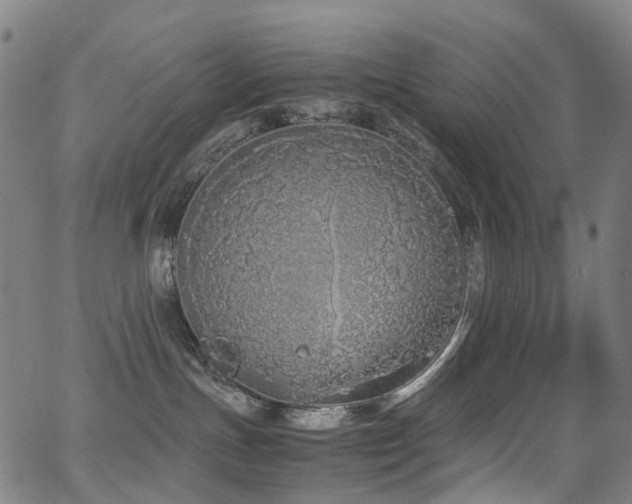 X0000062930191200601131521