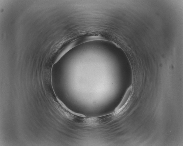 X0000062930192200601131521