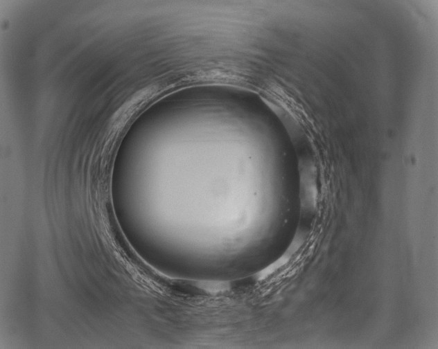 X0000062930193200601131520