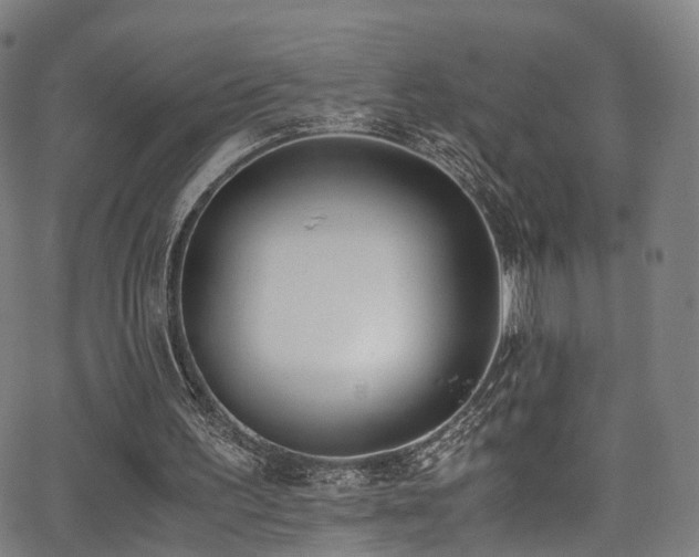 X0000062930195200601131520