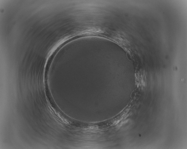 X0000062930196200601131520