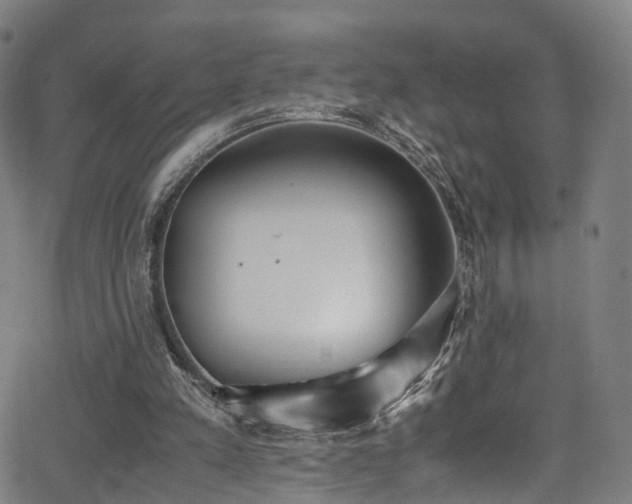 X0000062930197200601131520