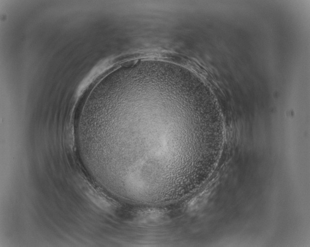 X0000062930198200601131520