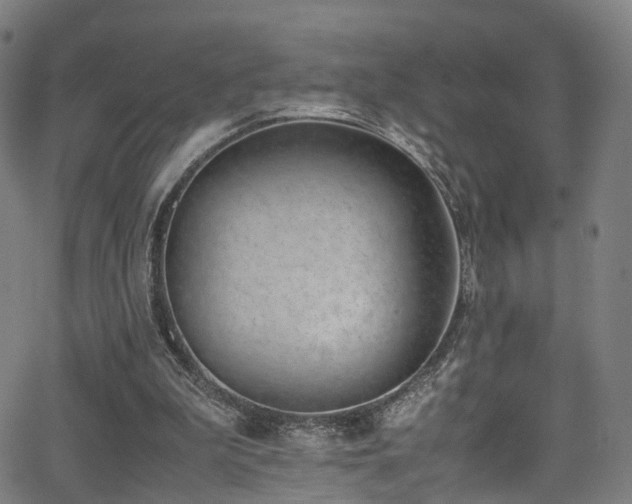 X0000062930199200601131520